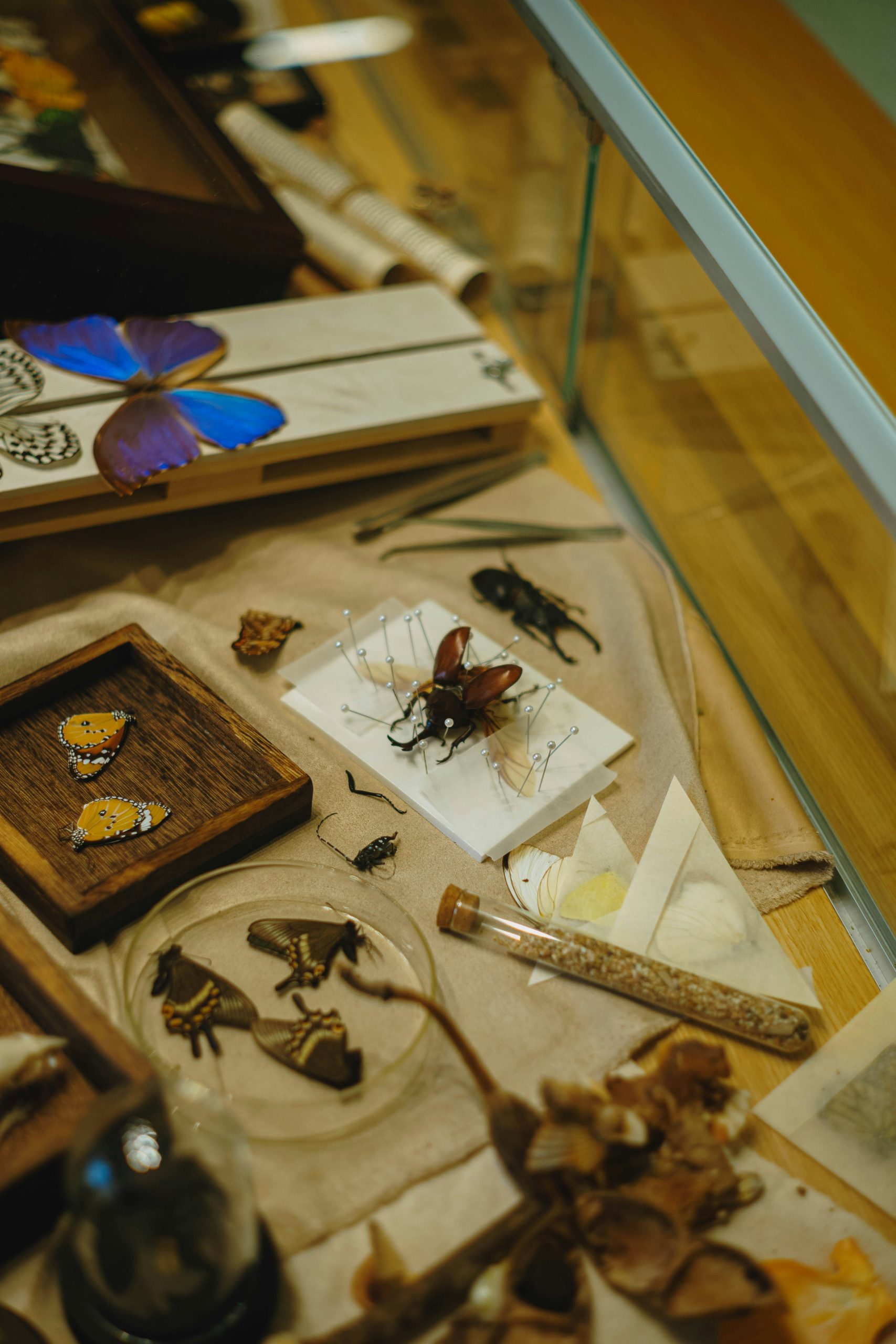 tommao-wang-a9C55PKkUEw-unsplash